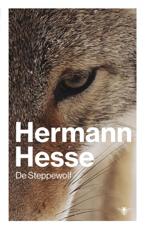 Cover of the book De steppewolf by Hermann Hesse, Bezige Bij b.v., Uitgeverij De
