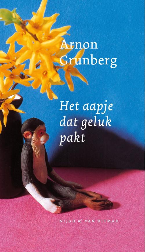 Cover of the book Het aapje dat geluk pakt by Arnon Grunberg, Singel Uitgeverijen
