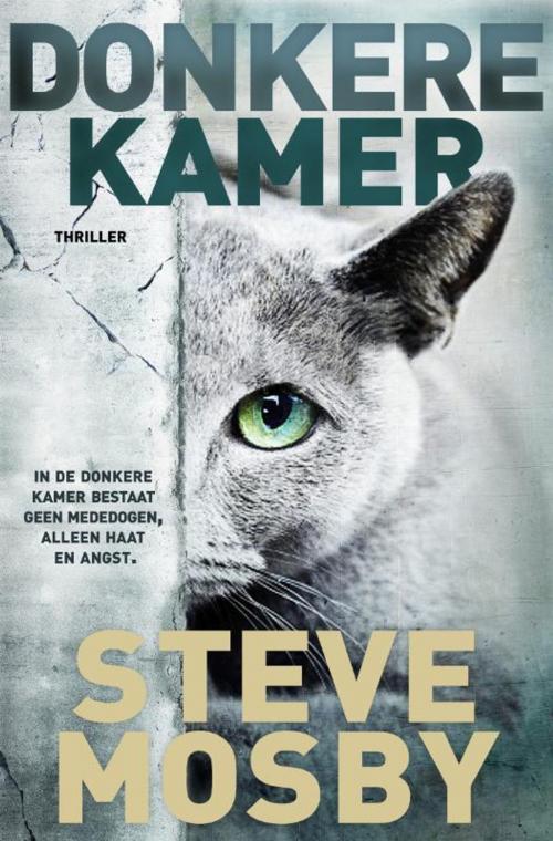 Cover of the book Donkere kamer by Steve Mosby, Bruna Uitgevers B.V., A.W.