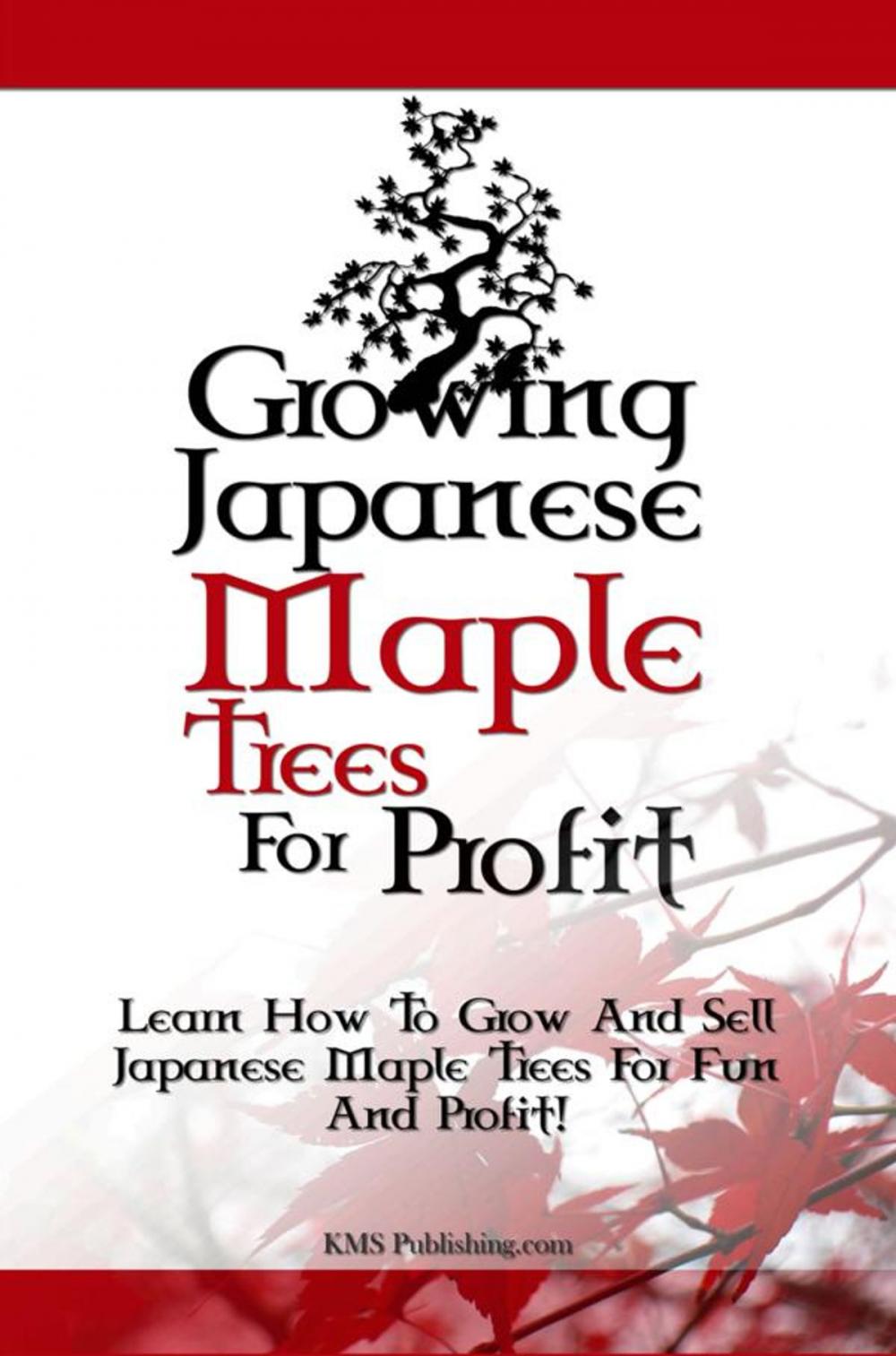Big bigCover of Growing Japanese Maple Trees For Profit