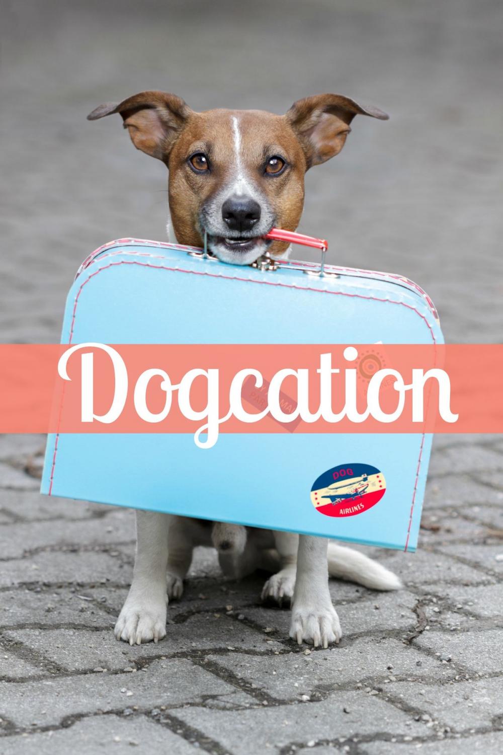 Big bigCover of Dogcation: How (and Where) to Take Your Dog on a Vacation
