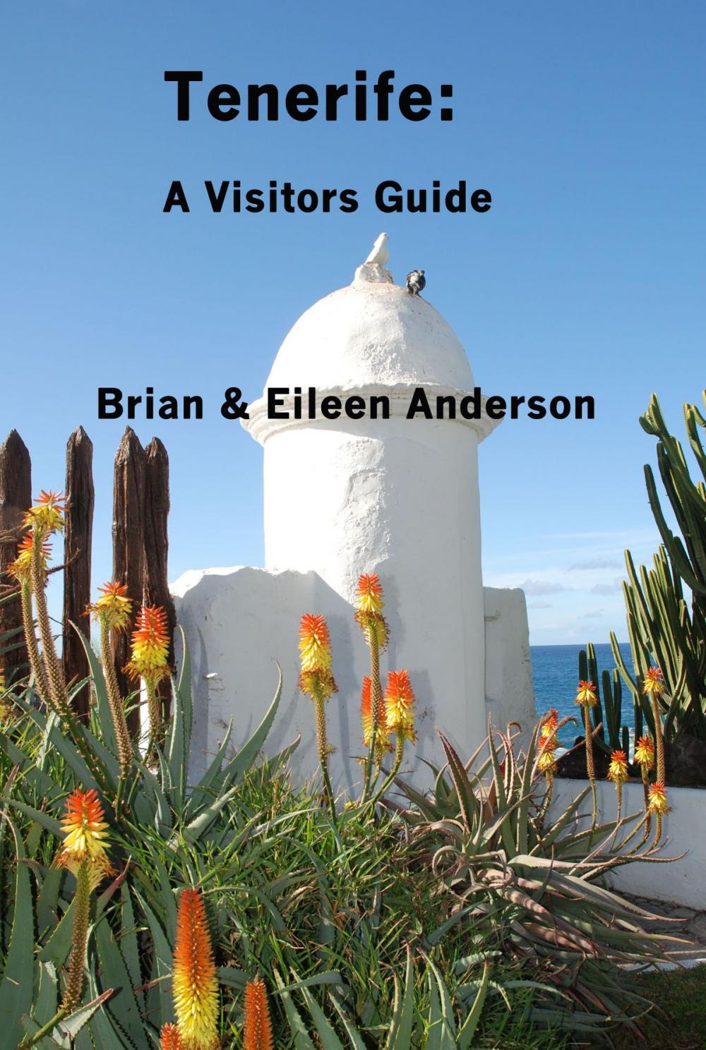 Big bigCover of Tenerife: A Visitors Guide