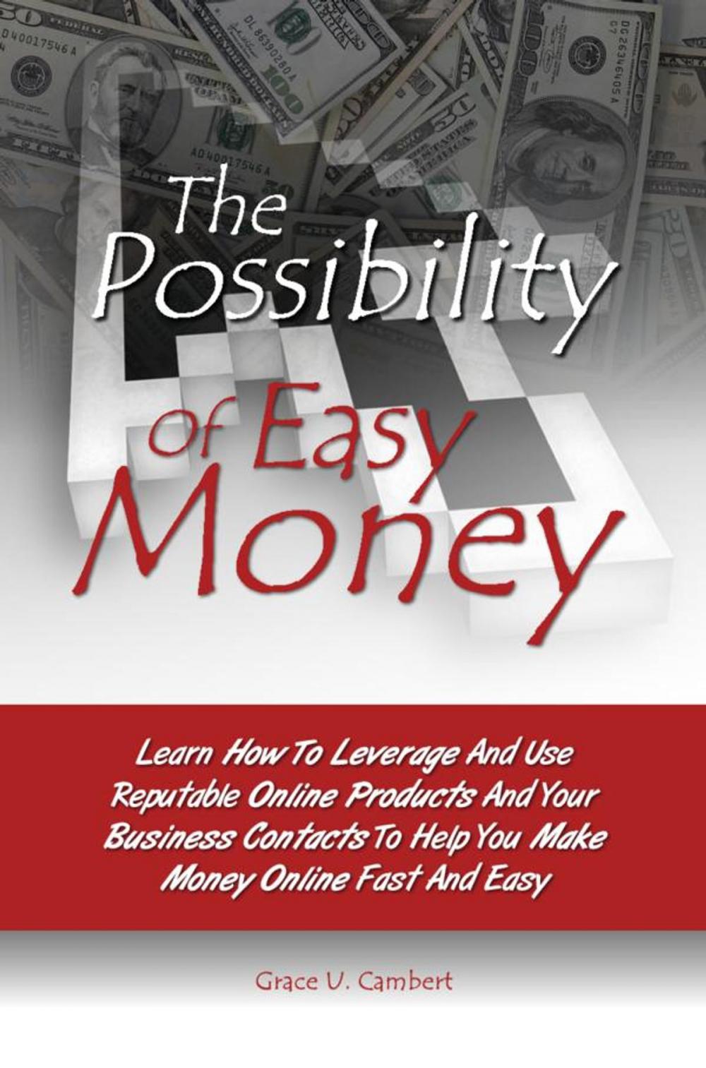 Big bigCover of The Possibility Of Easy Money