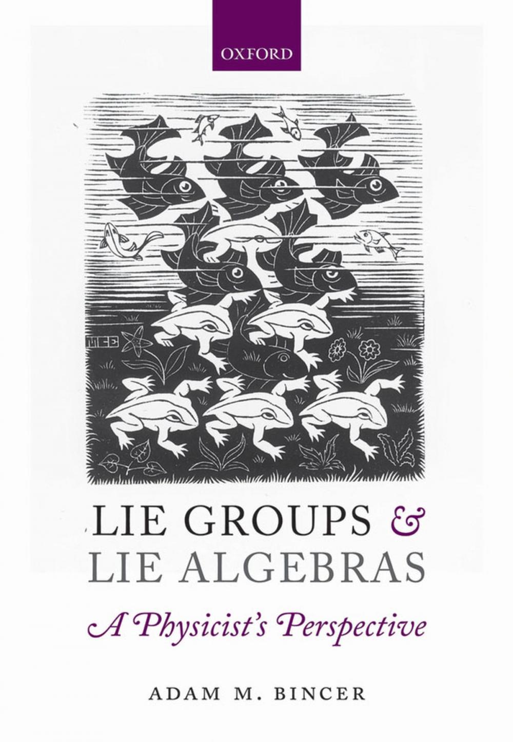 Big bigCover of Lie Groups and Lie Algebras - A Physicist's Perspective