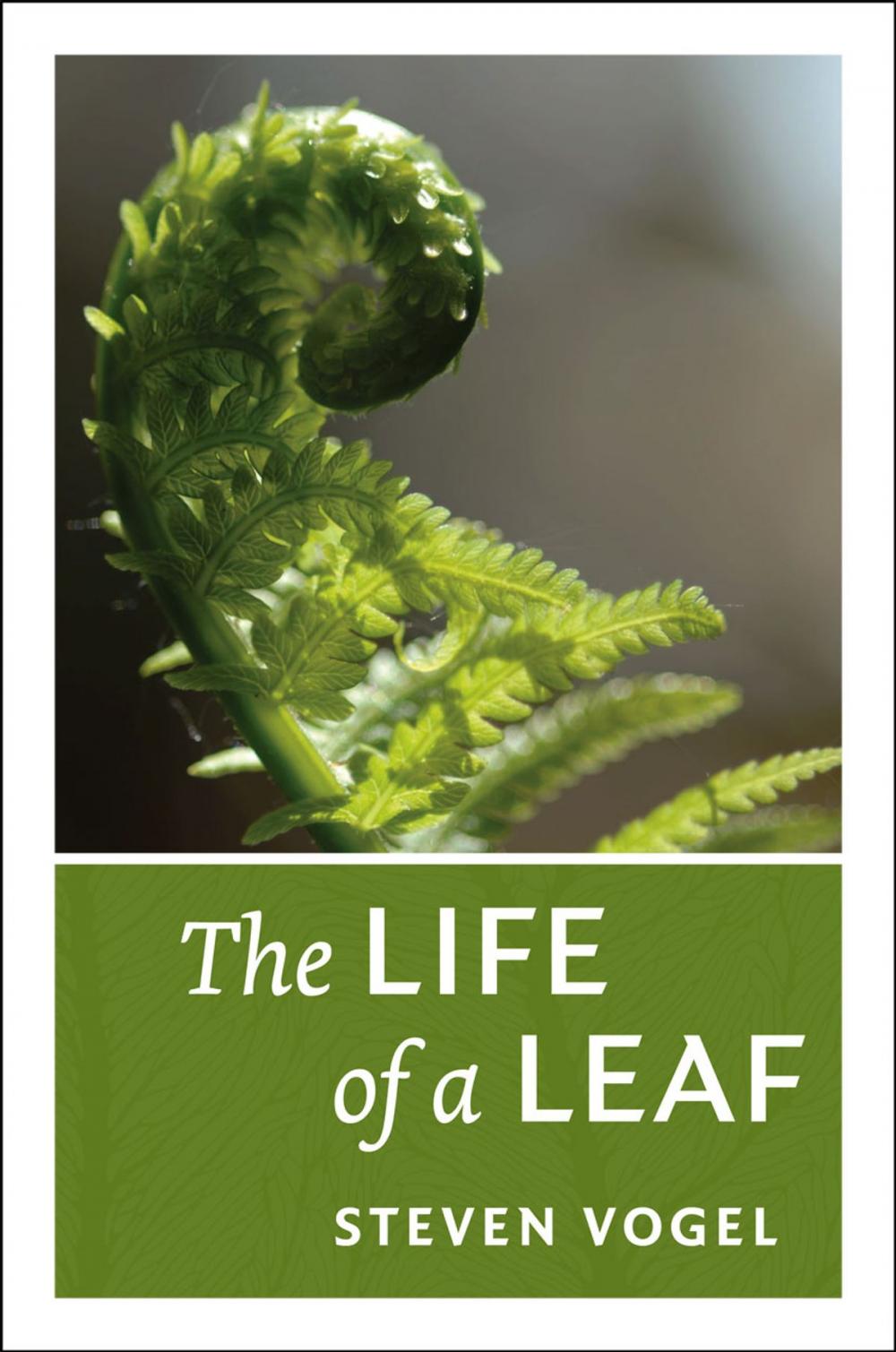 Big bigCover of The Life of a Leaf