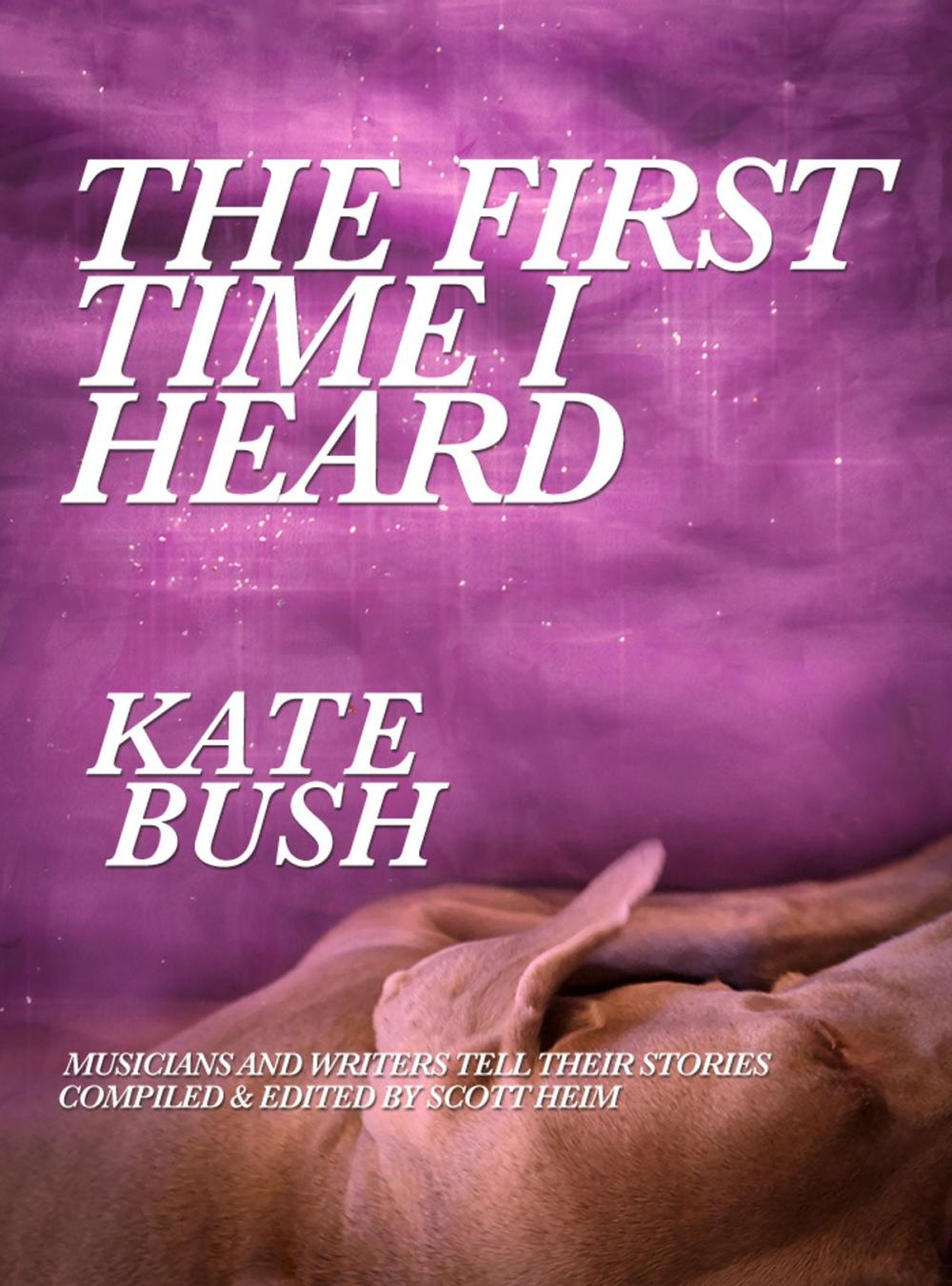 Big bigCover of The First Time I Heard Kate Bush