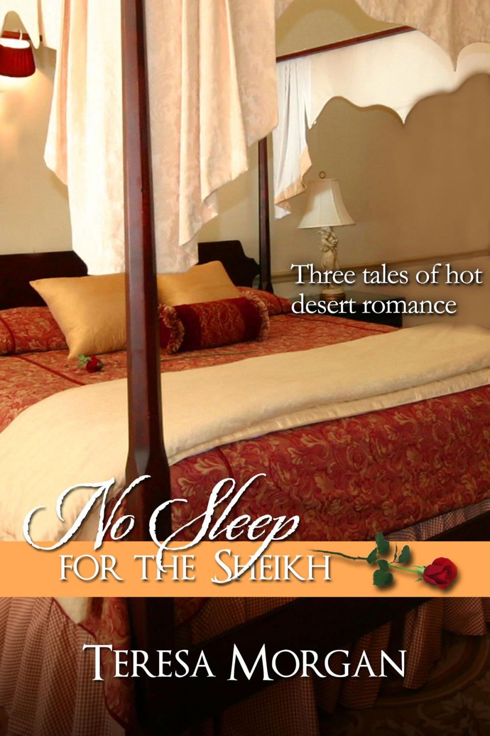 Big bigCover of No Sleep For The Sheikh (Hot Sheikh Romance Anthology)