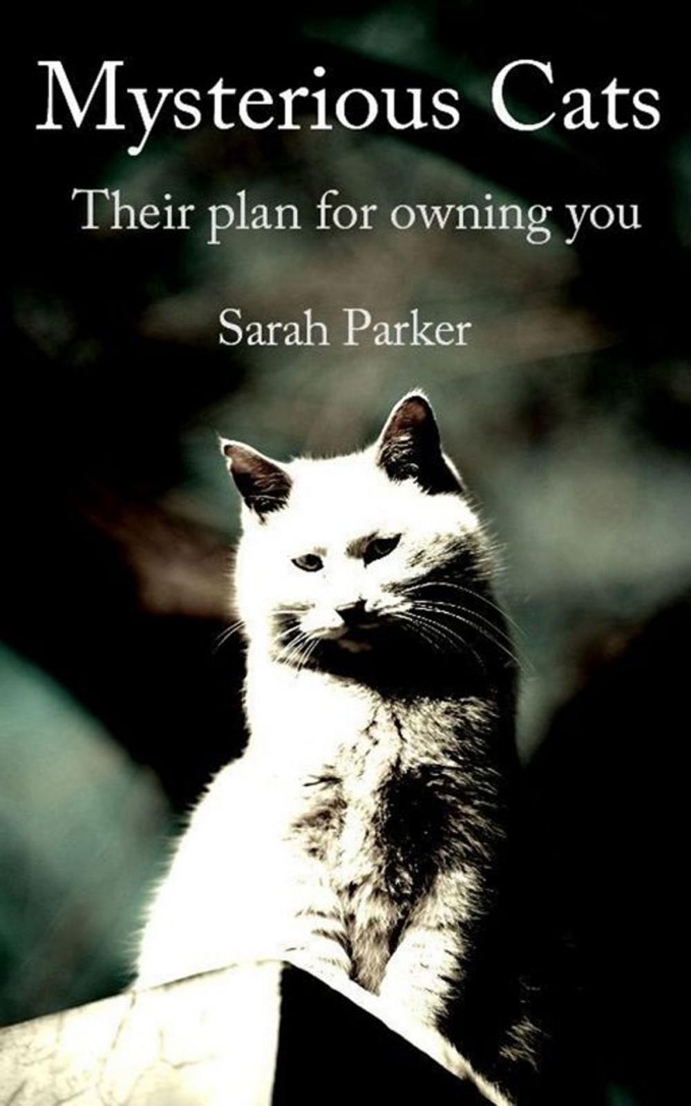 Big bigCover of Mysterious Cats: Their plan to own you