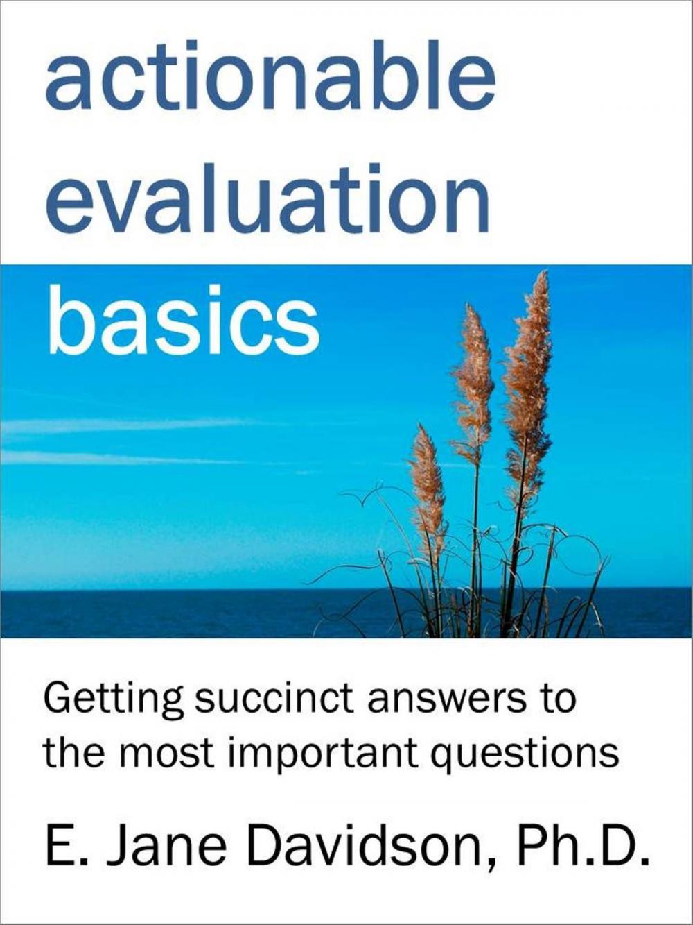 Big bigCover of Actionable Evaluation Basics: Getting succinct answers to the most important questions [minibook]