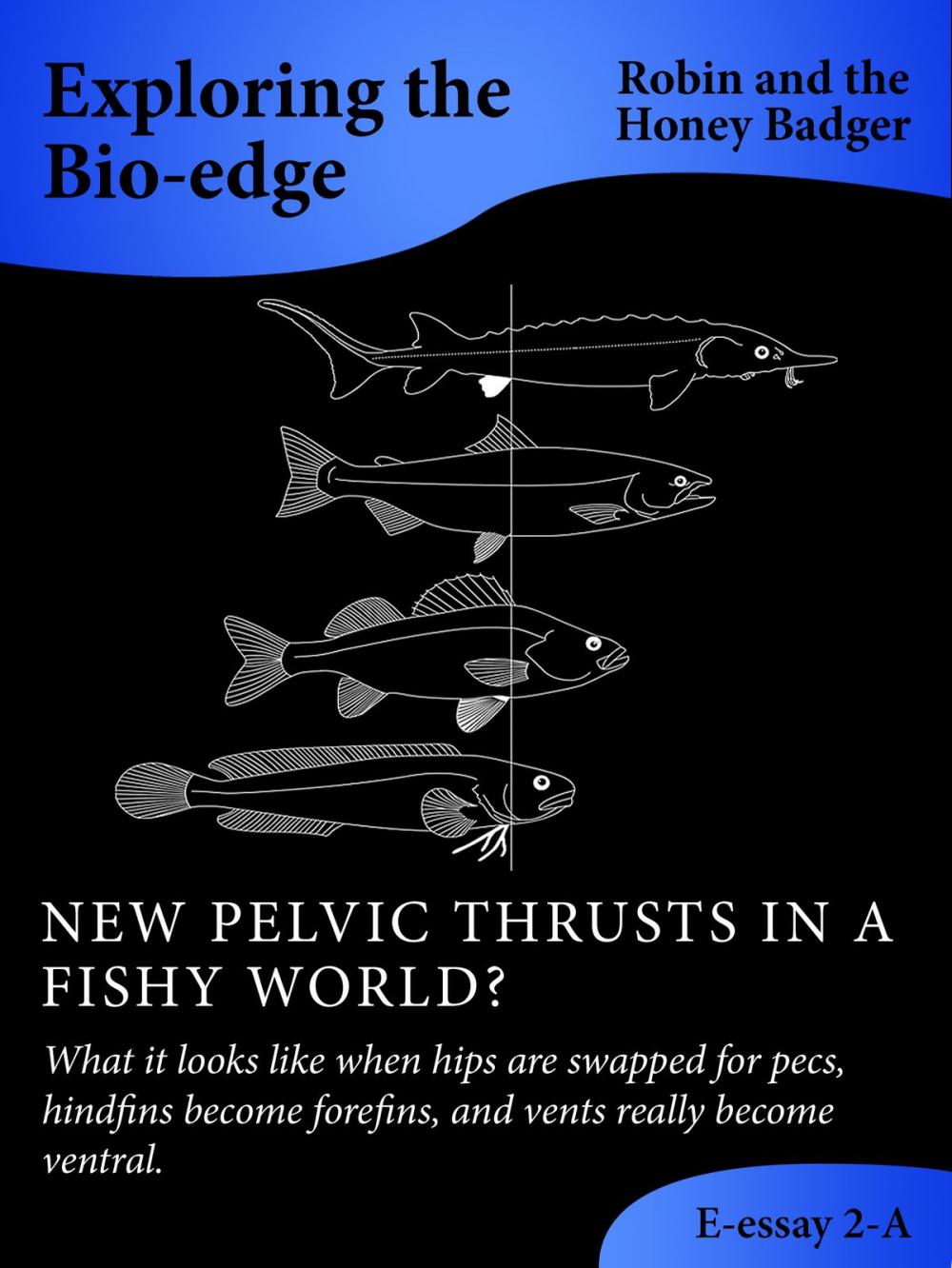 Big bigCover of New Pelvic Thrusts In A Fishy World?