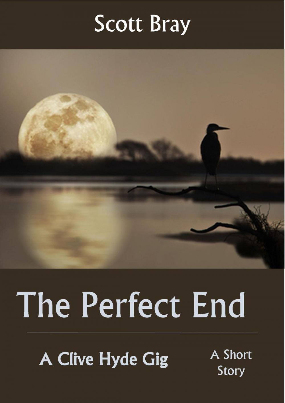 Big bigCover of The Perfect End