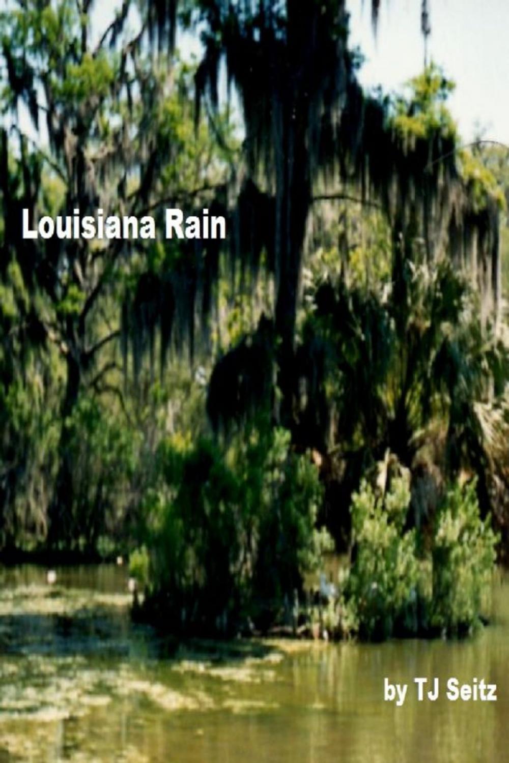 Big bigCover of Louisiana Rain