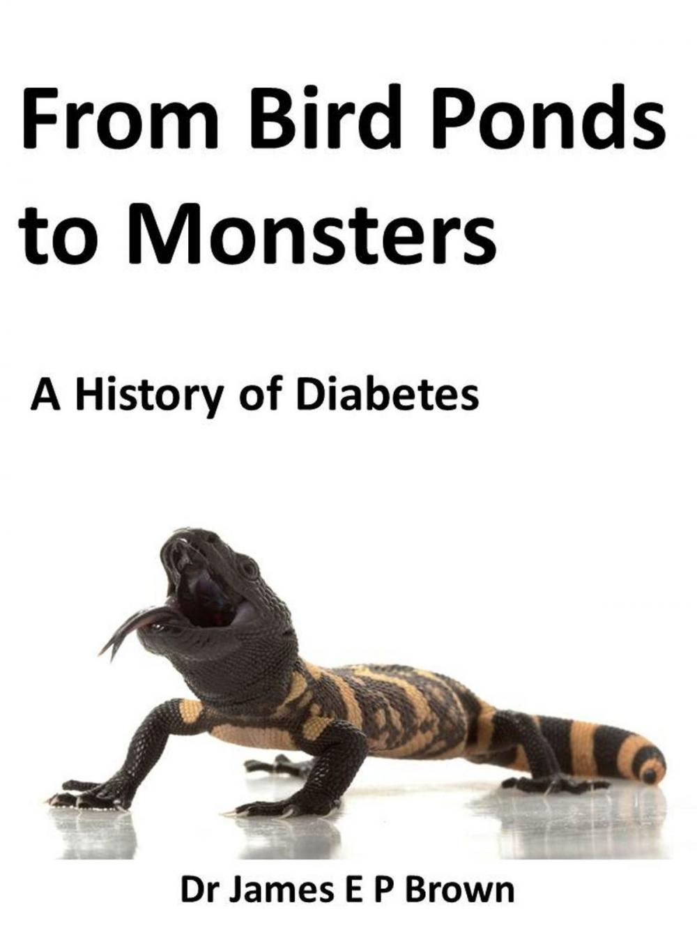 Big bigCover of From Bird Ponds to Monsters: A History of Diabetes