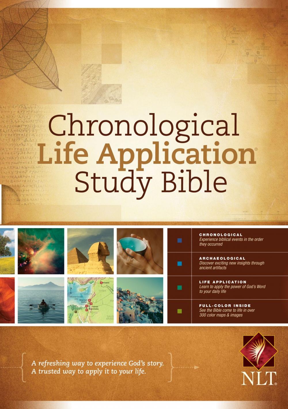 Big bigCover of Chronological Life Application Study Bible NLT