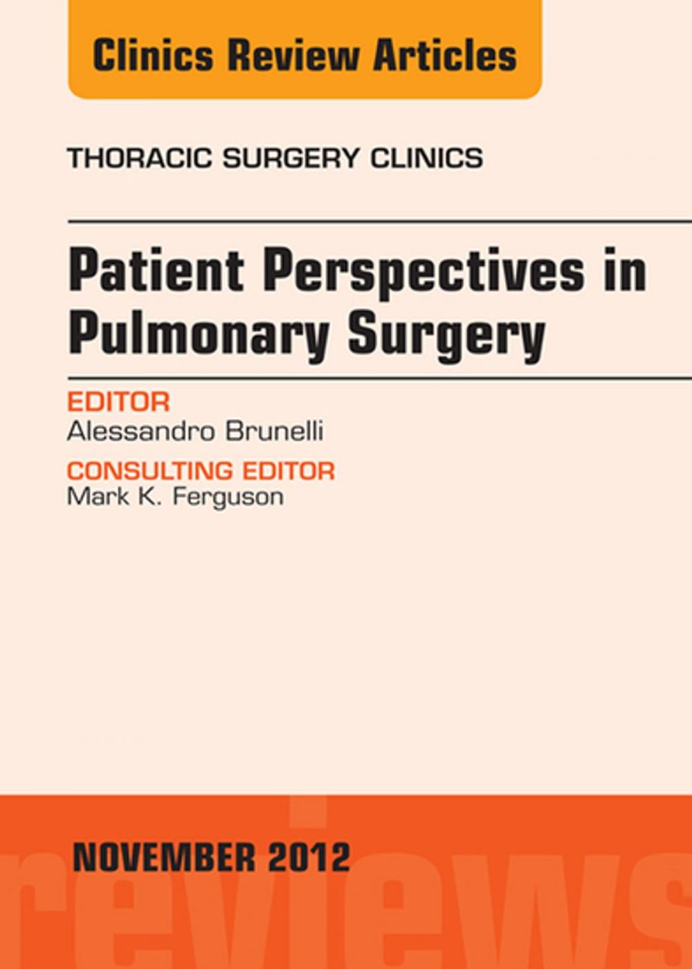 Big bigCover of Patient Perspectives in Pulmonary Surgery, An Issue of Thoracic Surgery Clinics - E-Book