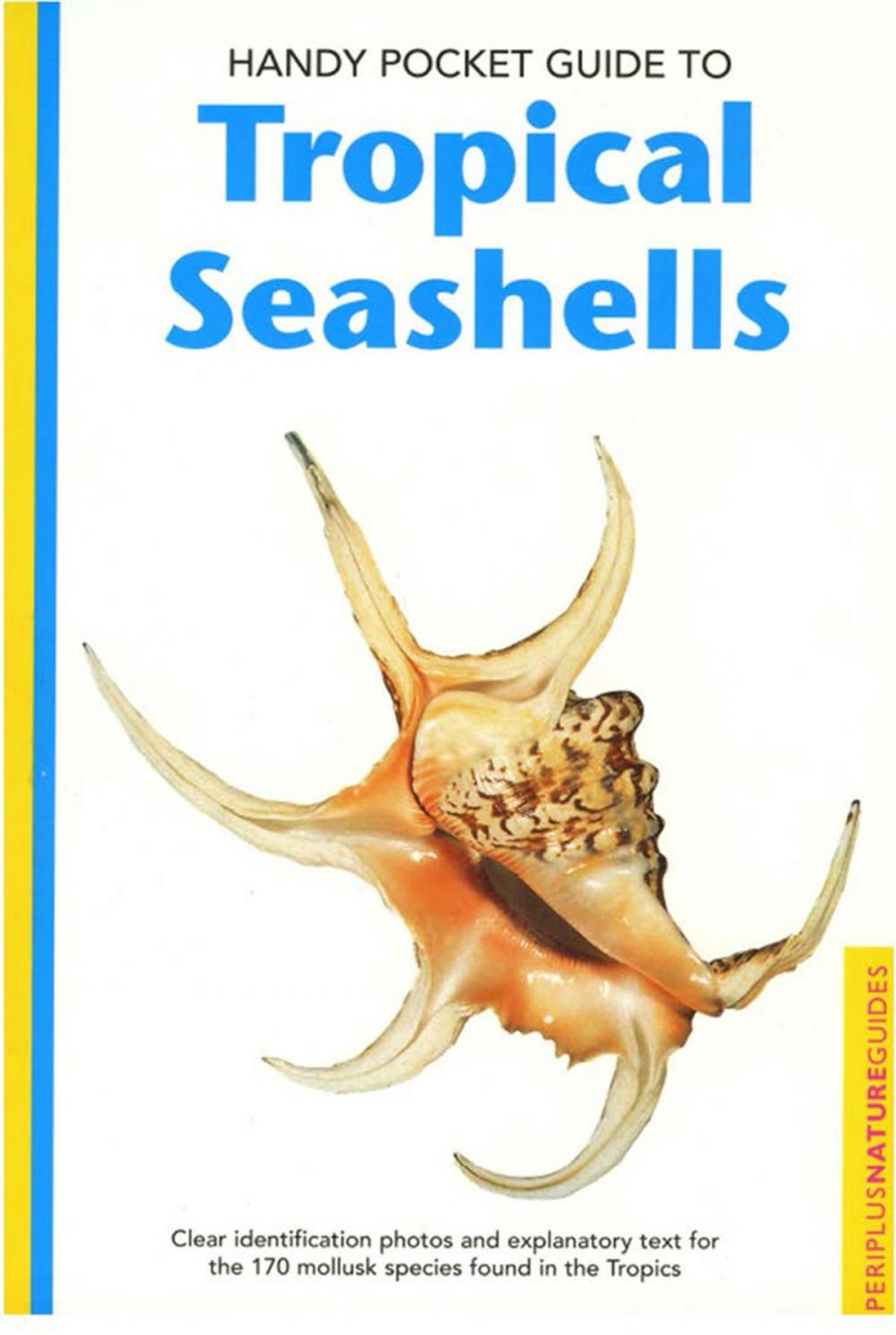 Big bigCover of Handy Pocket Guide to Tropical Seashells