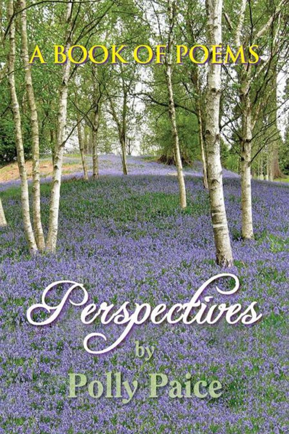 Big bigCover of Perspectives
