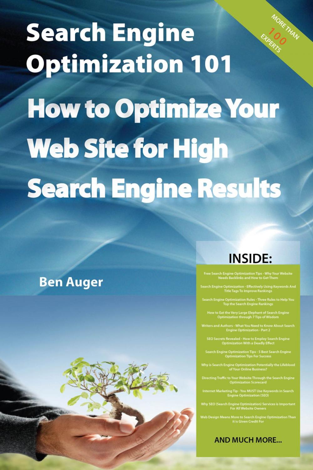 Big bigCover of Search Engine Optimization 101 - How to Optimize Your Web Site for High Search Engine Results