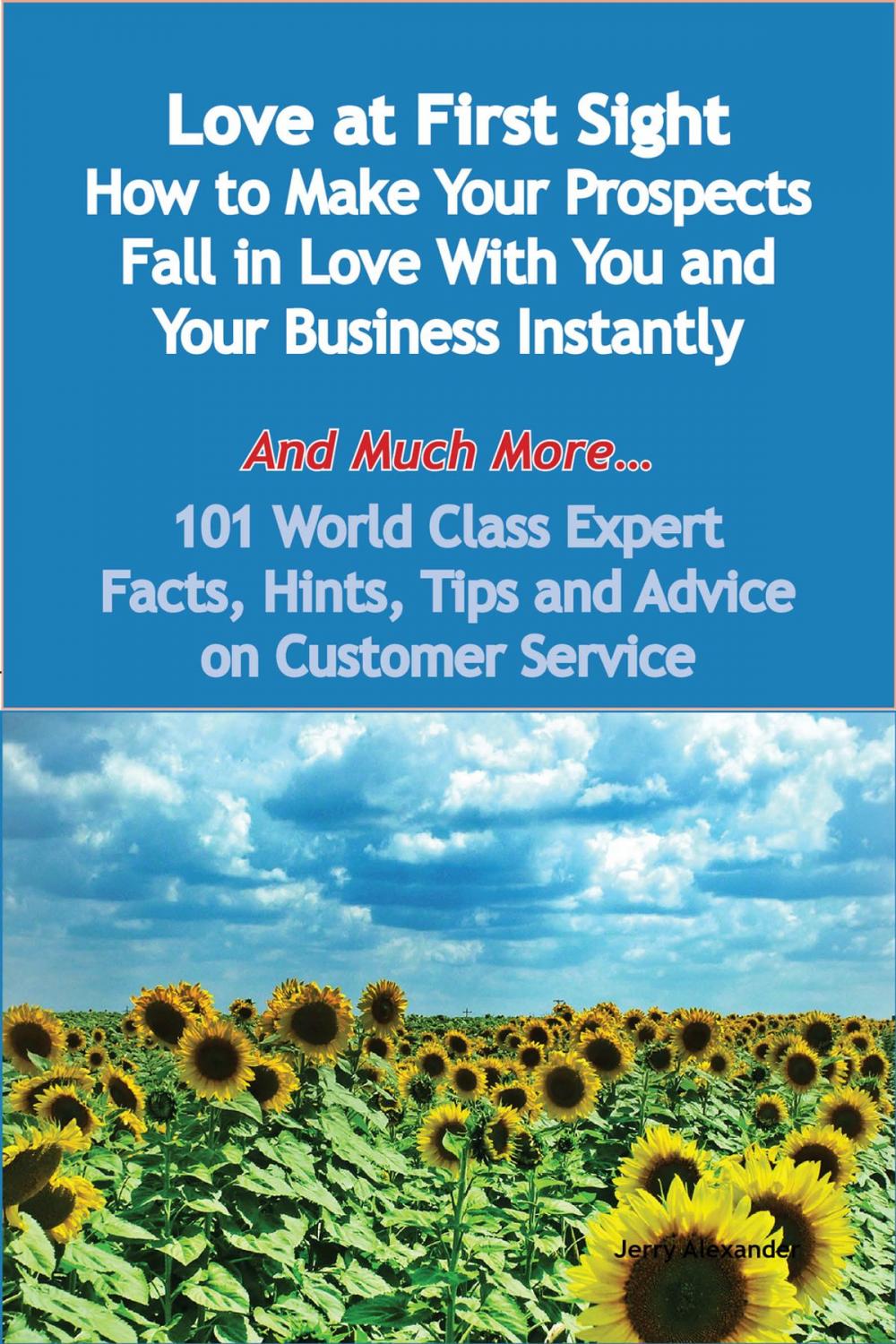 Big bigCover of Love at First Sight - How to Make Your Prospects Fall in Love With You and Your Business Instantly - And Much More - 101 World Class Expert Facts, Hints, Tips and Advice on Customer Service