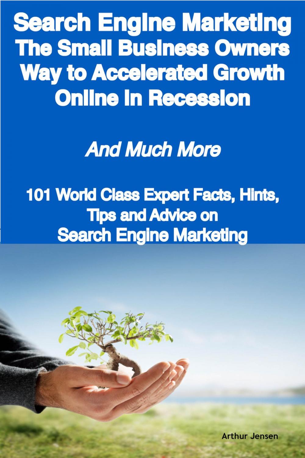 Big bigCover of Search Engine Marketing - The Small Business Owners Way to Accelerated Growth Online in Recession - And Much More - 101 World Class Expert Facts, Hints, Tips and Advice on Search Engine Marketing