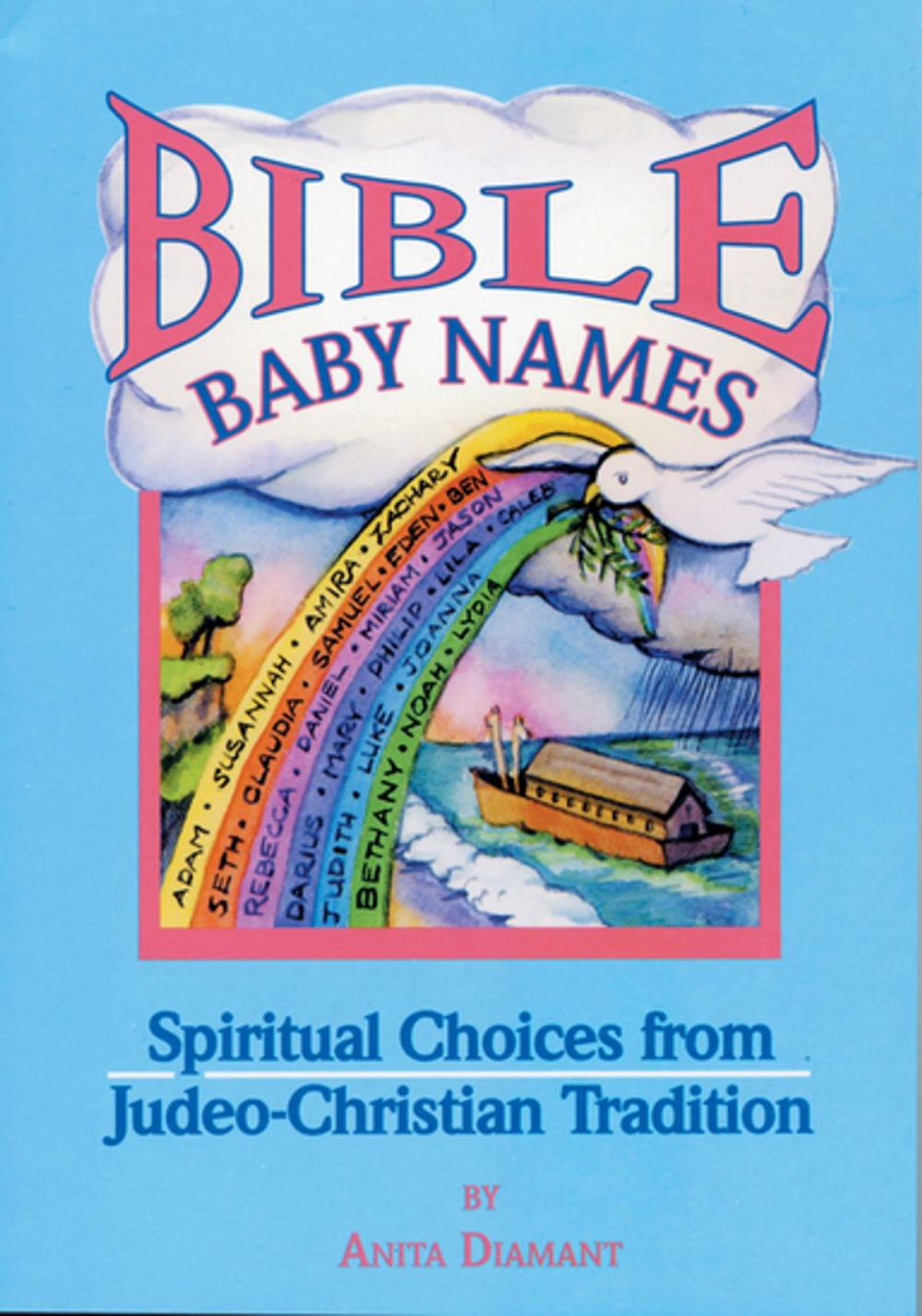 Big bigCover of Bible Baby Names