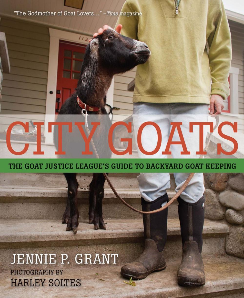 Big bigCover of City Goats