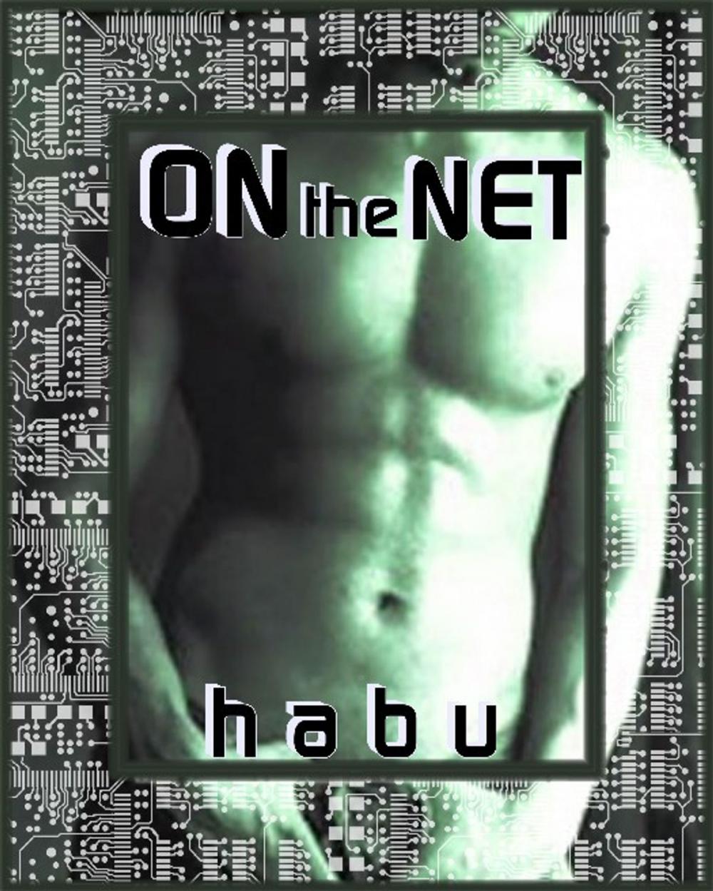 Big bigCover of On the Net