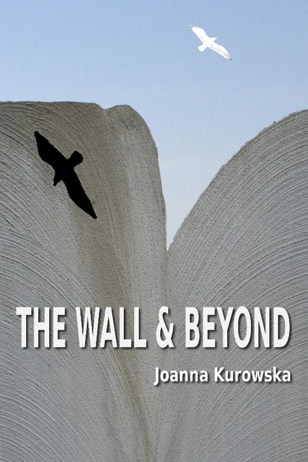 Big bigCover of The Wall & Beyond