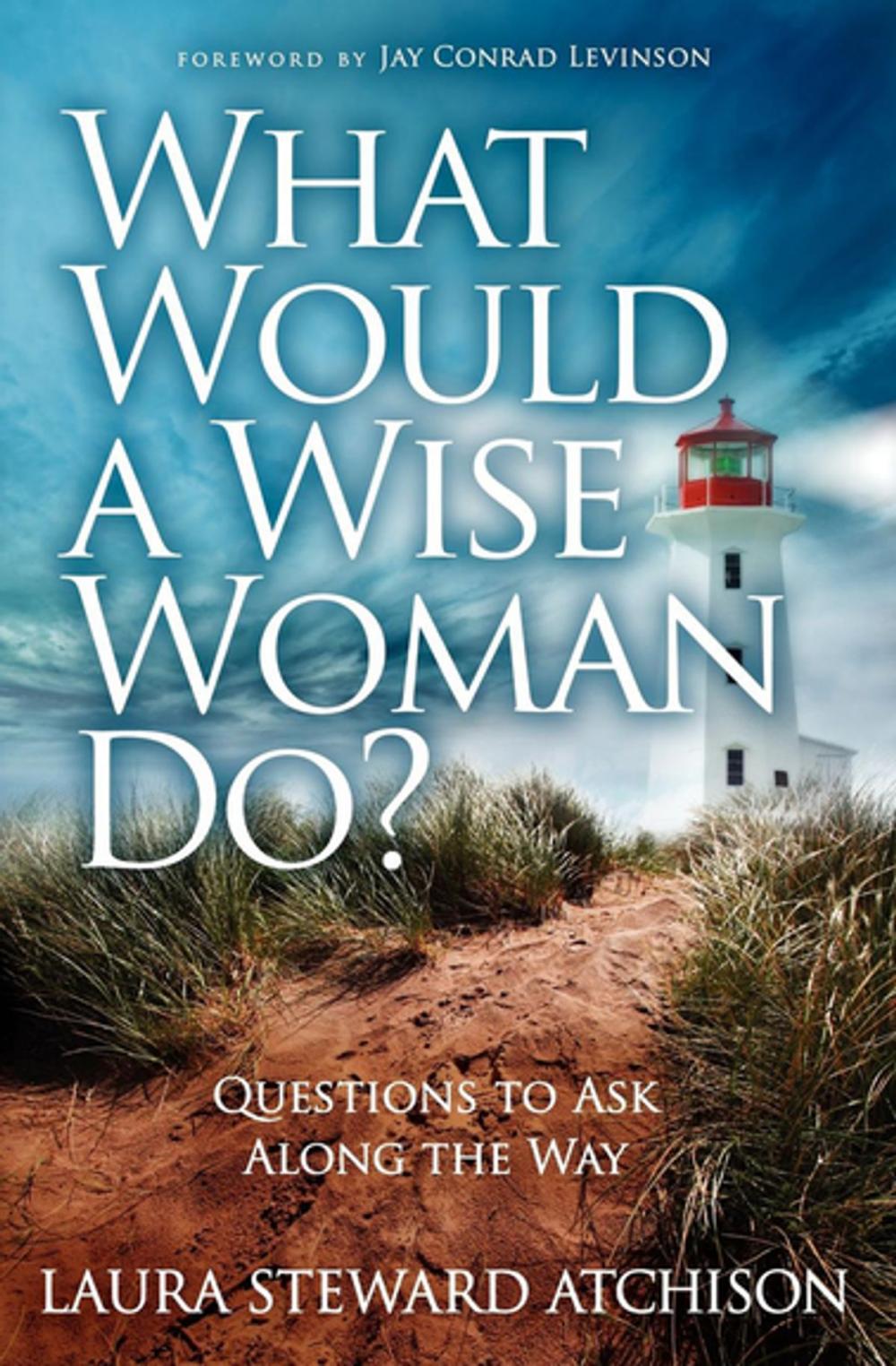 Big bigCover of What Would a Wise Woman Do?