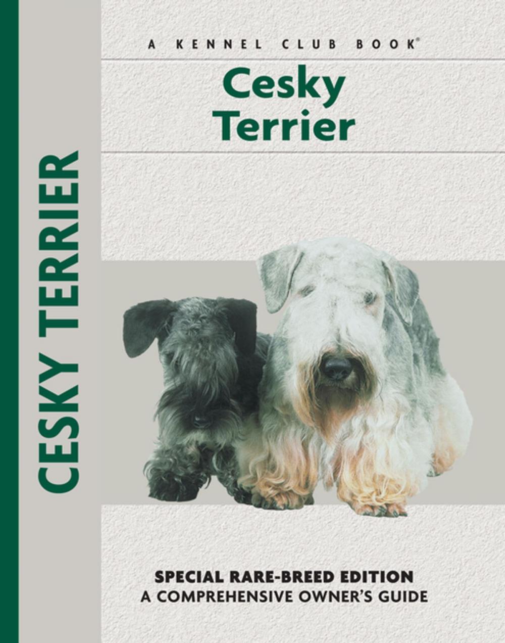 Big bigCover of Cesky Terrier