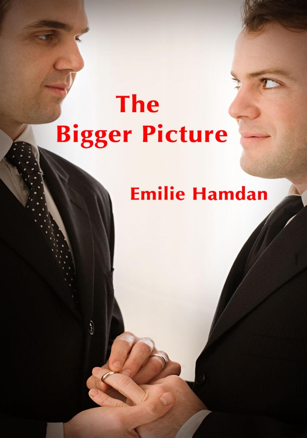 Big bigCover of The Bigger Picture