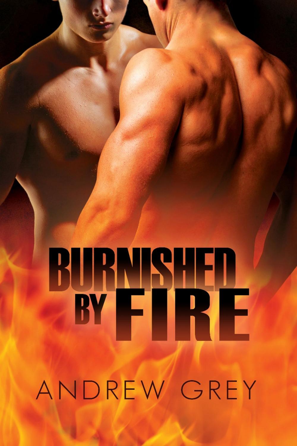 Big bigCover of Burnished by Fire