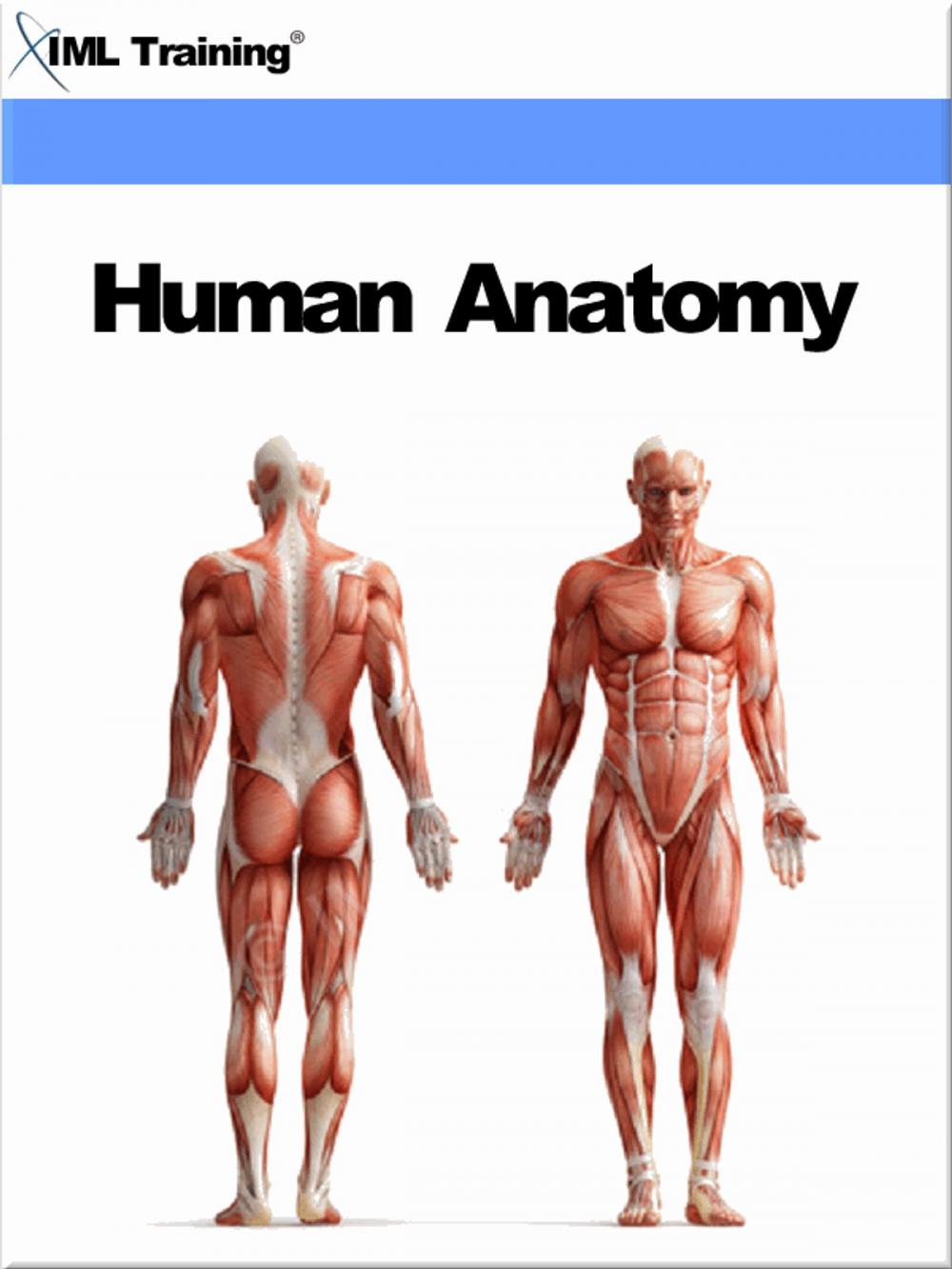 Big bigCover of Human Anatomy (Human Body)