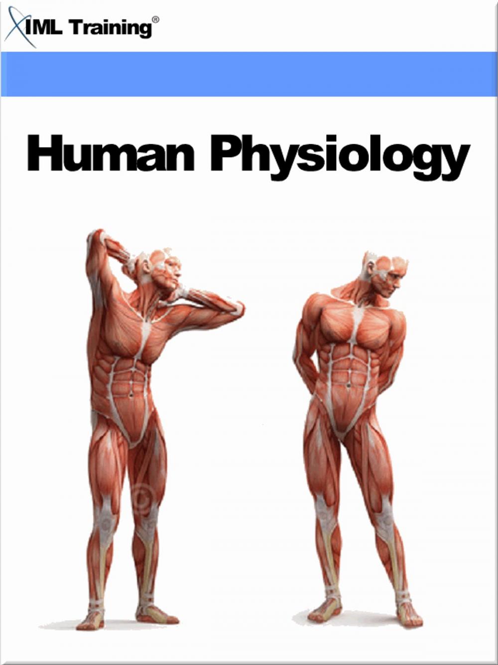 Big bigCover of Human Physiology (Human Body)