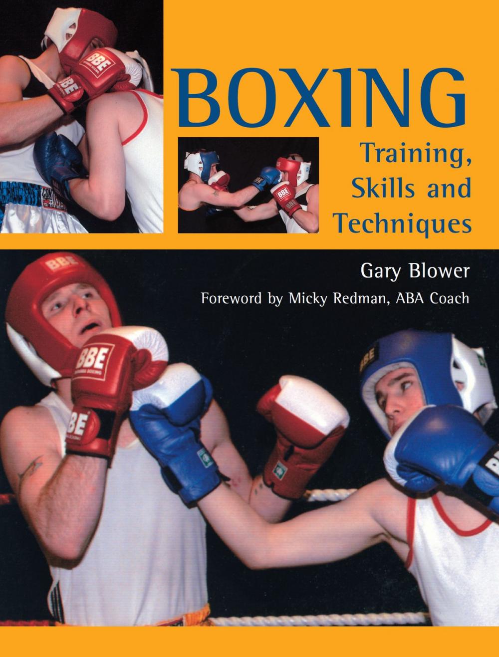Big bigCover of Boxing