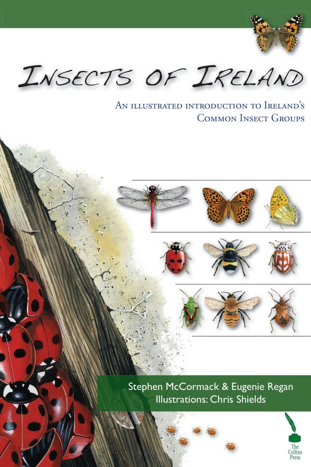 Big bigCover of Insects of Ireland: An illustrated introduction to Ireland's common insect groups