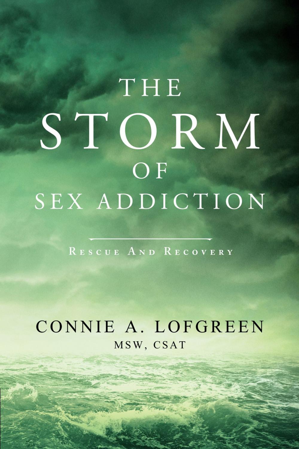 Big bigCover of The Storm of Sex Addiction
