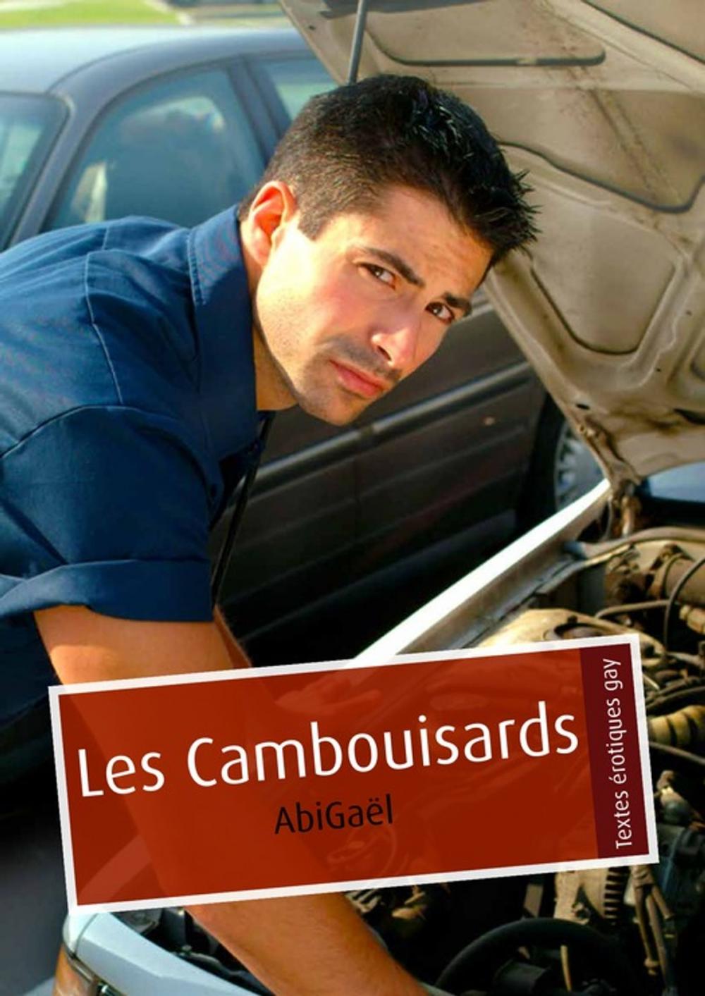 Big bigCover of Les Cambouisards (pulp gay)