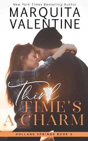 Cover of the book Third Time's a Charm by Judy Kentrus