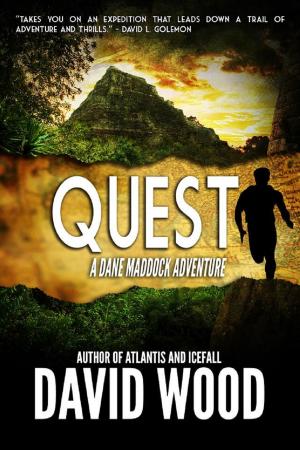 Cover of the book Quest by David Wood