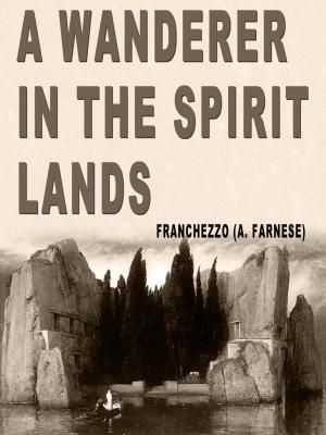 Cover of the book A Wanderer In The Spirit Lands by J. W. MacKail