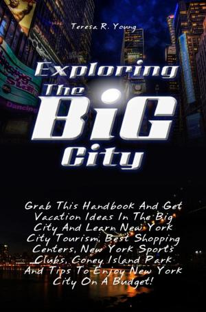 Cover of the book Exploring The Big City by Dana D. Harmon