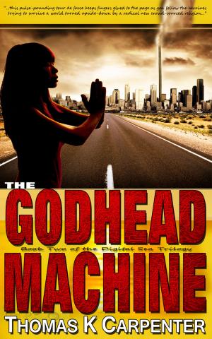 bigCover of the book The Godhead Machine by 