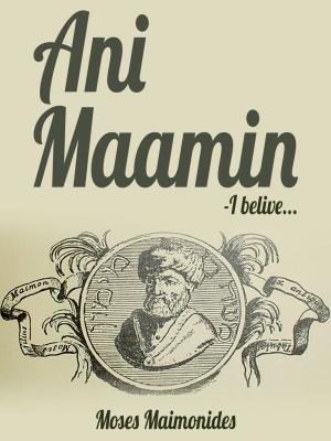 Book cover of Ani Maamin - I Belive...