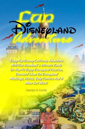 Book cover of Fun Disneyland Adventure