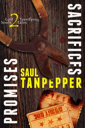 Cover of the book Promises and Sacrifices by Saul Tanpepper