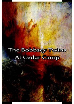 Cover of the book The Bobbsey Twins at Cedar Camp by F. Scott Fitzgerald