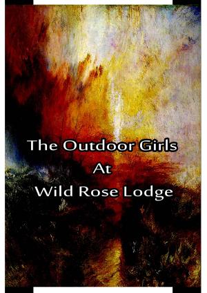 Book cover of The Outdoor Girls at Wild Rose Lodge