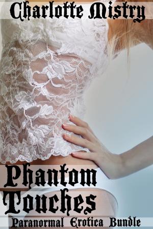 Cover of the book Phantom Touches by Charlotte Mistry