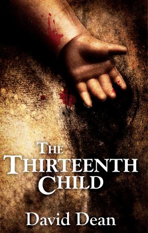 bigCover of the book The Thirteenth Child by 